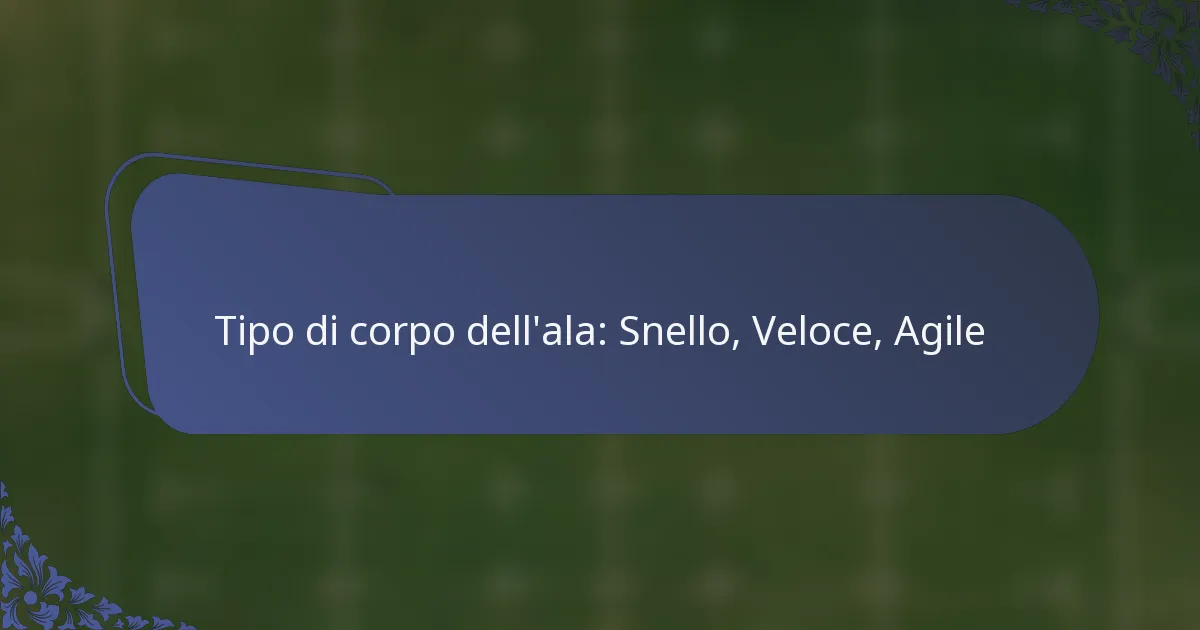 Tipo di corpo dell’ala: Snello, Veloce, Agile